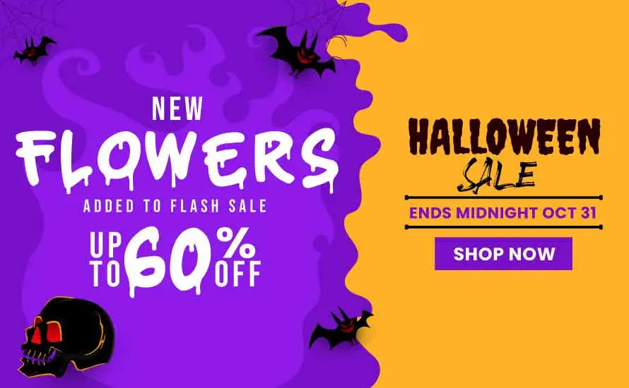 Halloween SALE - Up to 60% off