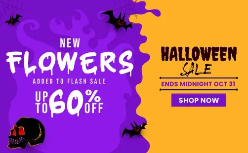 Halloween SALE - Up to 60% off