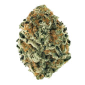 Ice Wine Marijuana Strain