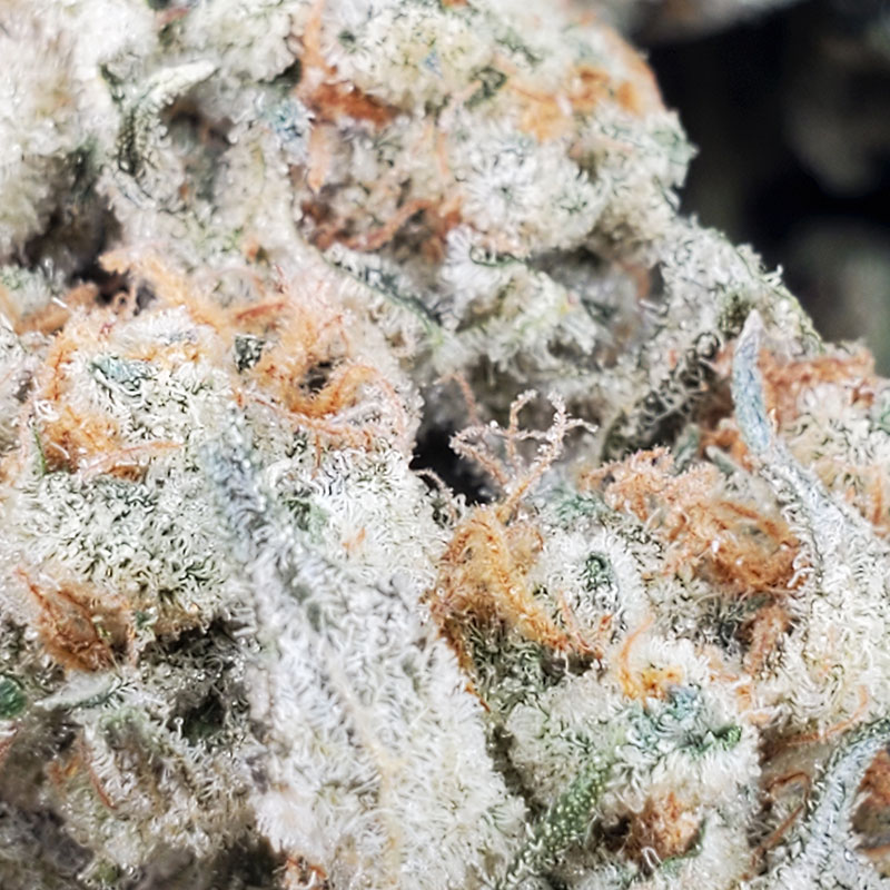 Ice Wine Marijuana Strain