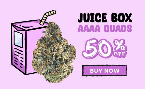 Juice Box Cannabis Sale 40% off