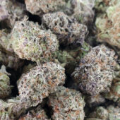 MAC Stomper Marijuana Strain