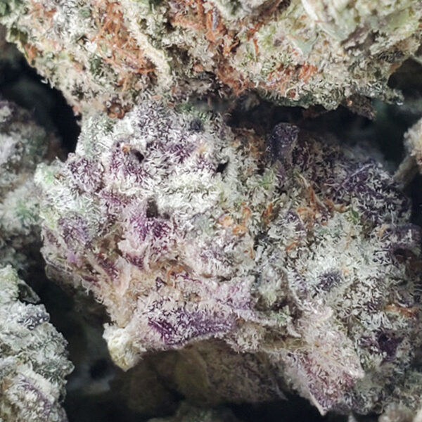MAC Stomper Marijuana Strain