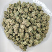 Purple Ripple Marijuana Strain