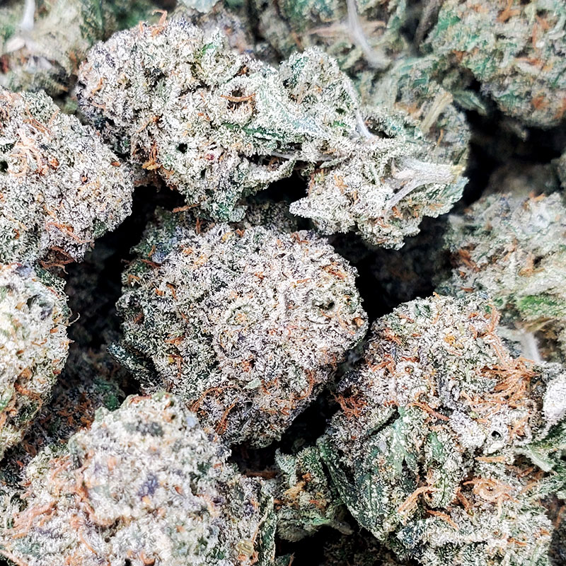 Purple Ripple Marijuana Strain