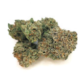 Purple Ripple Marijuana Strain