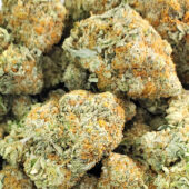 Blue Cheese Marijuana Strain