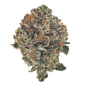 MK Ultra Marijuana Strain