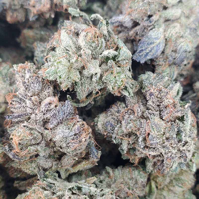 MK Ultra Marijuana Strain