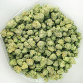 Pink Kush Marijuana Strain