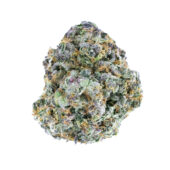 Purple Blizzard Marijuana Strain