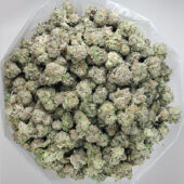 G-13 Marijuana Strain