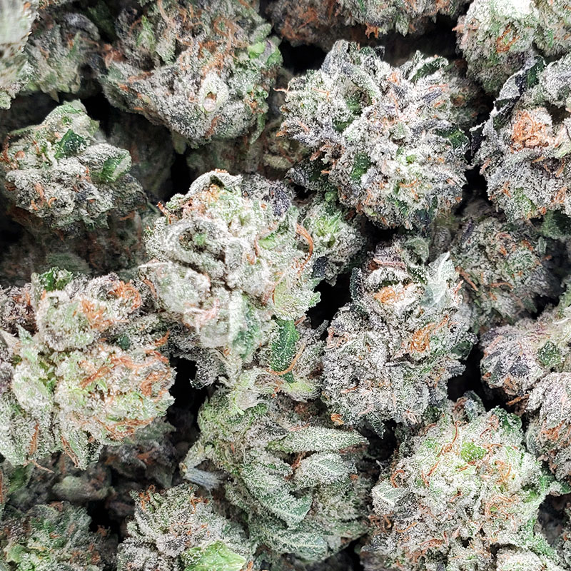 G-13 Marijuana Strain