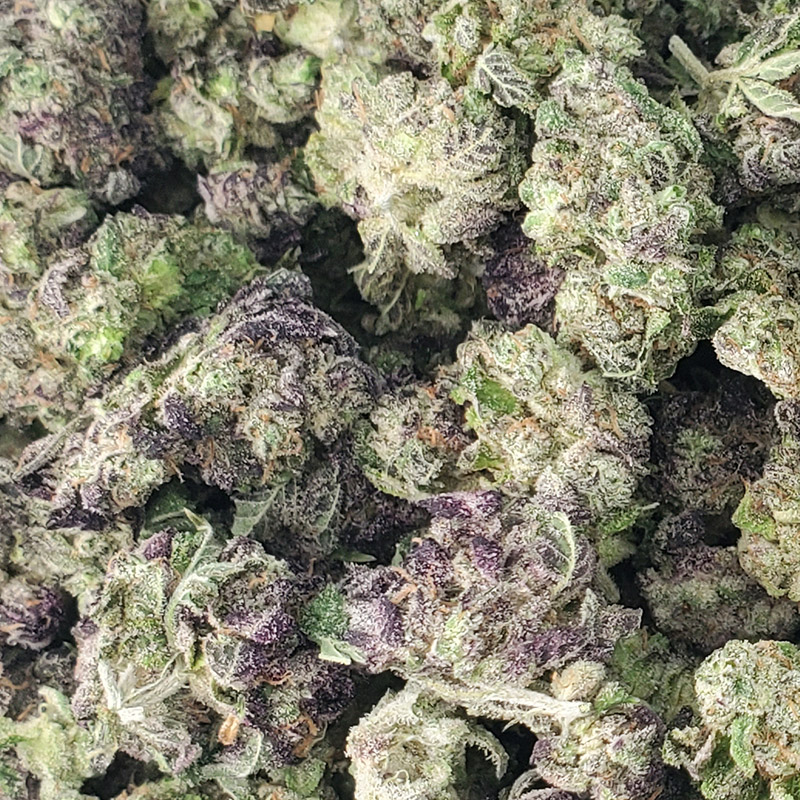 Hash Burger Marijuana Strain