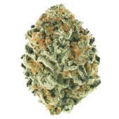 Cereal Milk Marijuana Strain