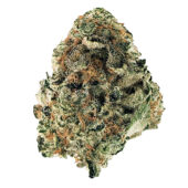 Cereal Milk Marijuana Strain