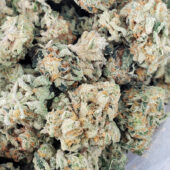 Cereal Milk Marijuana Strain