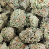 Godzilla Marijuana Strain