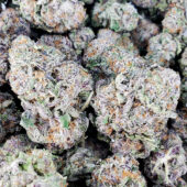 Purple Banana Breath Marijuana Strain