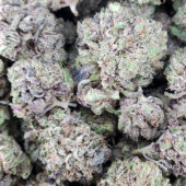 Bubba Kush Marijuana Strain