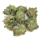 Chemdawg Marijuana Strain