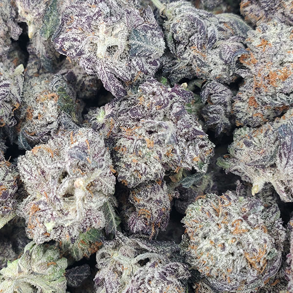 Granddaddy Purple Strain