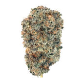 Purple Lemon Punch Marijuana Strain