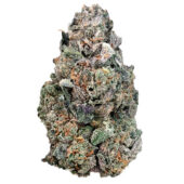 Cherry Cosmo Marijuana Strain