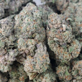 Cherry Cosmo Marijuana Strain