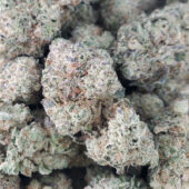 Galactic Warhead Marijuana Strain