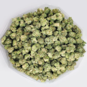 Grease Monkey Marijuana Strain