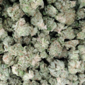 Grease Monkey Marijuana Strain