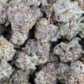 Apes In Space Marijuana Strain