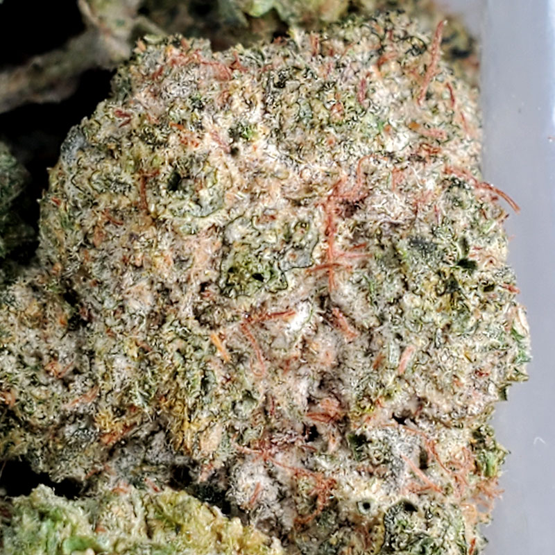California Gas Marijuana Strain