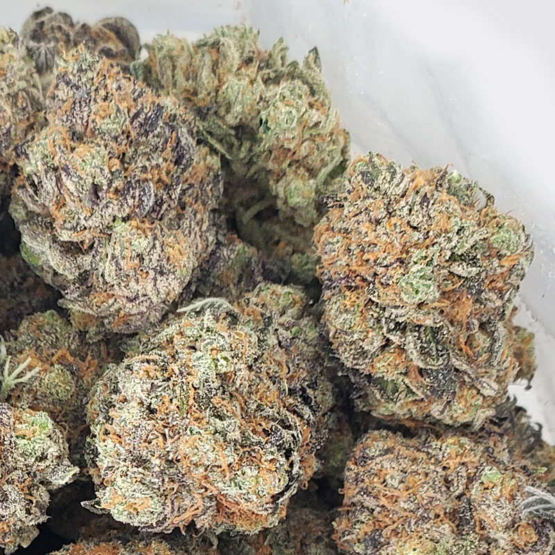 Purple Afghani Marijuana Strain