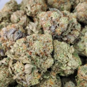California Gas Marijuana Strain