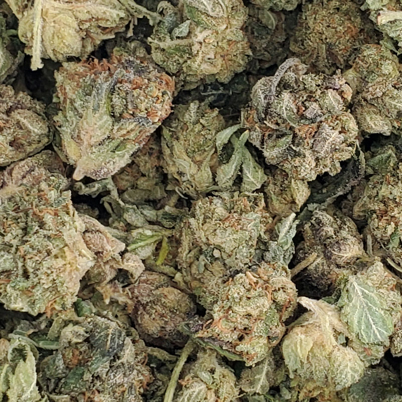 Durban Poison Marijuana Strain