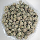 Golden Hour Marijuana Strain