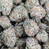 Golden Hour Marijuana Strain