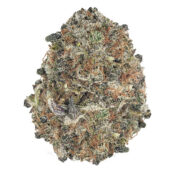 Pink Venom Marijuana Strain
