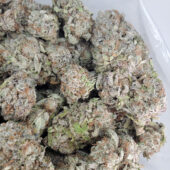 Pink Venom Marijuana Strain