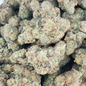 Hindu Kush Marijuana Strain