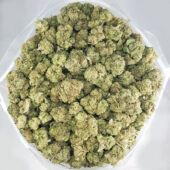 Lemon Skunk Marijuana Strain